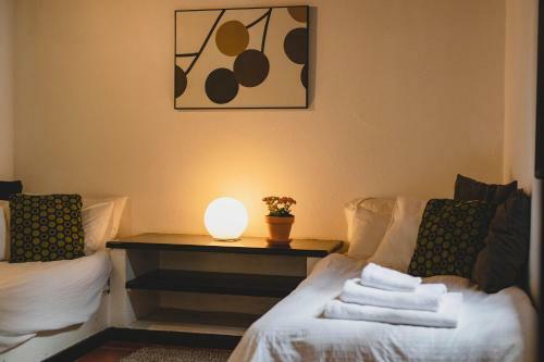 Hostal Finca Malvasia Vineyard