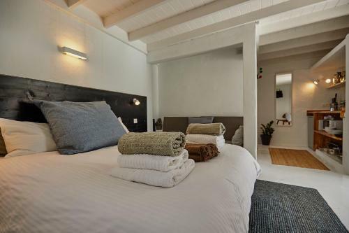 Hostal Finca Malvasia Vineyard