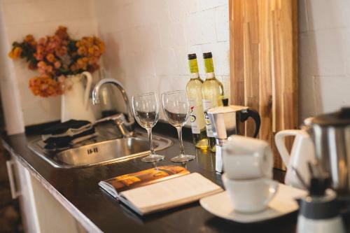 Hostal Finca Malvasia Vineyard