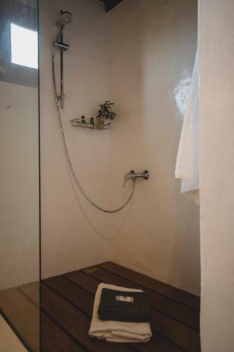 Hostal Finca Malvasia Vineyard