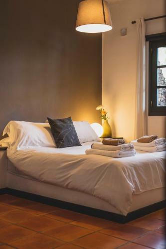 Hostal Finca Malvasia Vineyard