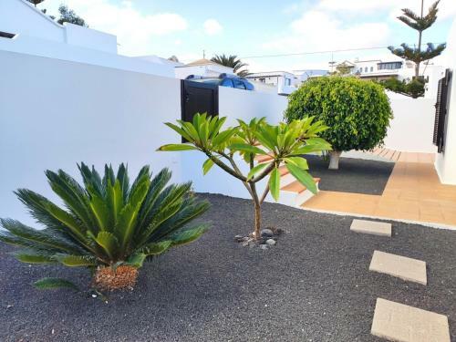 Villa Princesa Guayarmina