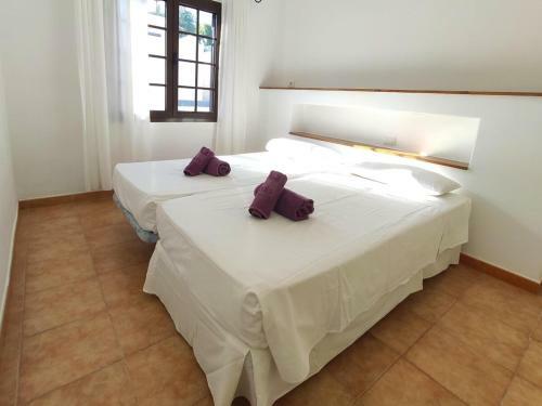 Villa Princesa Guayarmina