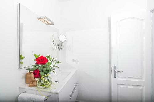 Apartamento Rooms & Suites The Lighthouse