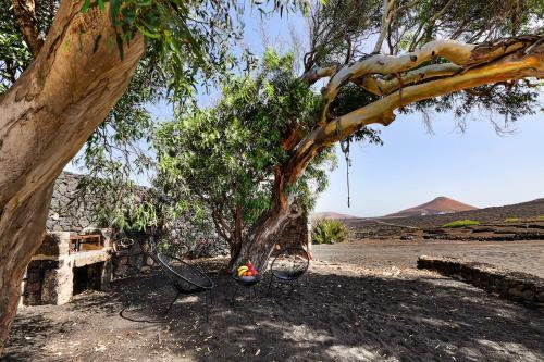Petit La Geria Lanzarote