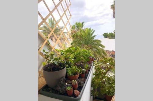 Apartamento Modern & Spacious Studio Isla, Puerto Del Carmen