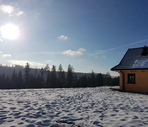 Villa Koniakowo - Dom Pinto