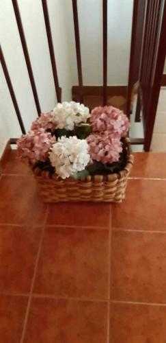 Apartamento Casa San Medel