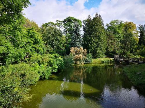 Arboretum Apartment K�rnik