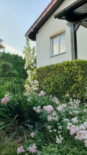 Villa Willa W K�rniku - Blisko Poznania