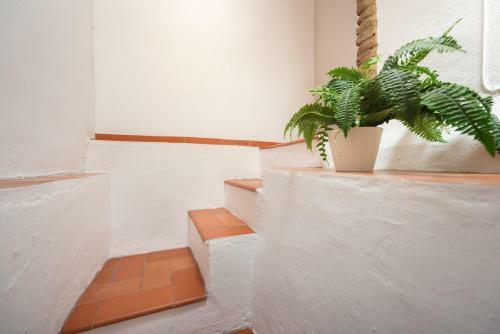 Apartamento Comendador