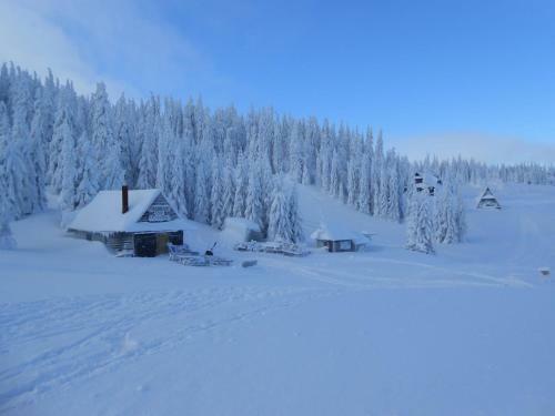 Agroturystyka U Beaty Dom I
