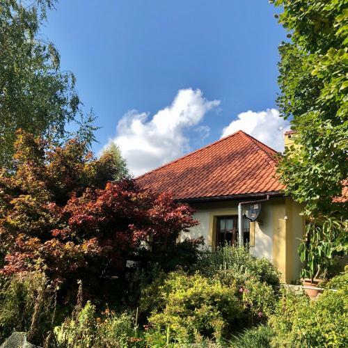 Bed & Breakfast Modryna Ranczo