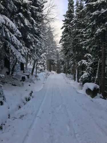 Apartament Karkonoski W Kowarach