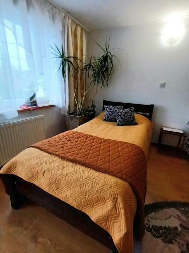 Apartamento Studio In Kretomino
