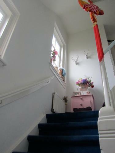 Bed & Breakfast B & B Aan 't Volkspark