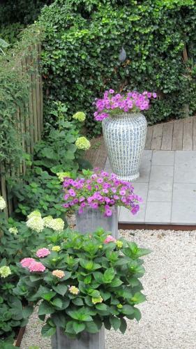 Bed & Breakfast B & B Aan 't Volkspark