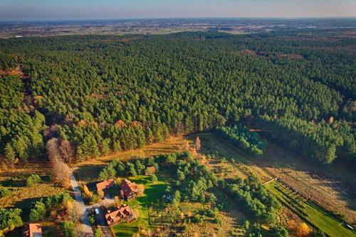 Gosciniec Szuwary