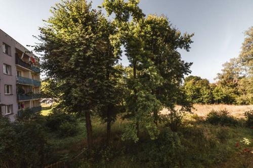 Apartamento Piastowska Sleeping - Mieszkanie W Centrum Miasta