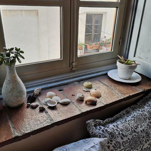 Apartamento Acogedor Estudio En Casco Antiguo