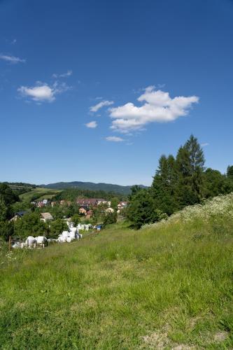 Apartamento Wolscy Blachnickiego 3