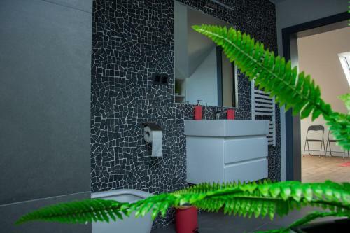 Domino-apartamenty Red