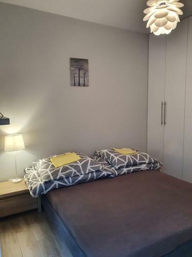 Apartament Nad Sapin?