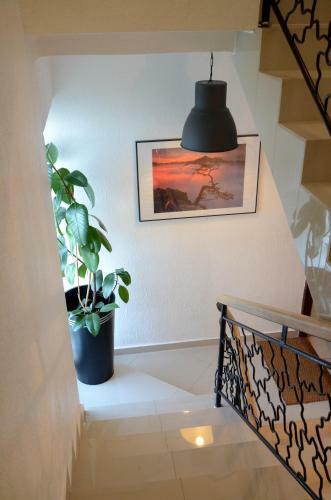 Hotel Willa Go?cinny Pr�g