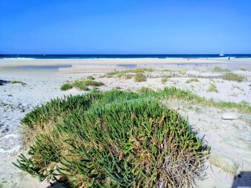 Tarifa Garden Townhouse