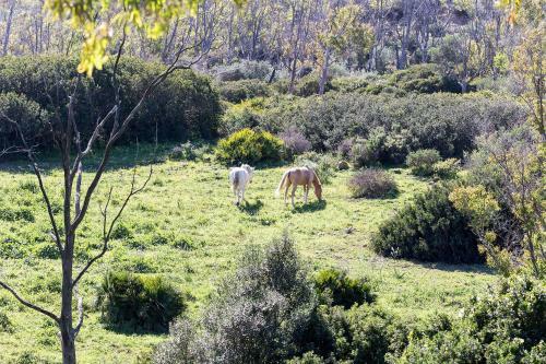 Apartamento Casita Rural En Centro de H�pica
