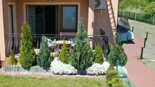 Sun City Apartament Igor - Krynica Morska