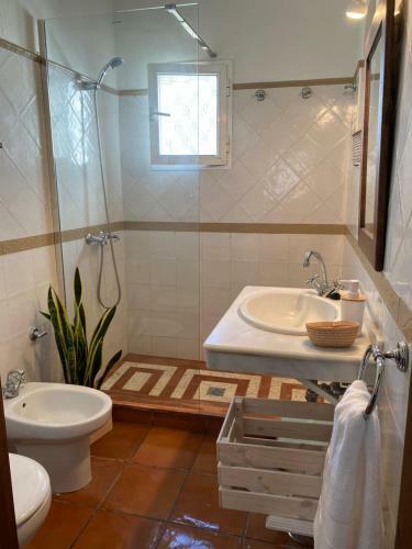 Apartamento La Casa Del Tio Sam Tarifa