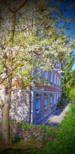 Apartament Sjesta Park