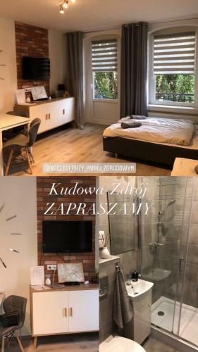Apartament Przy Parku Zdrojowym