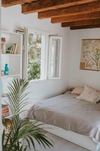 Apartamento Lxr Tarifa Sun&beach 2hab.