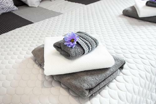 Apartamenty Pod Cisem
