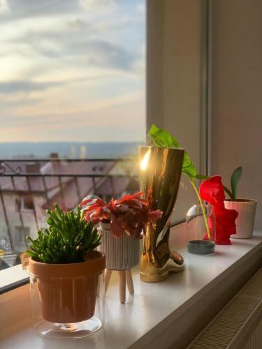 Apartament Le?ny - Le?na 30