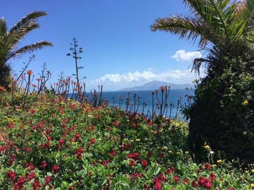 Hostal Floating House Tarifa