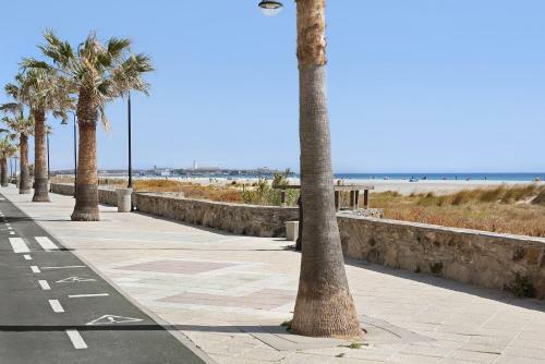 Apartamento La Tortuga Playa
