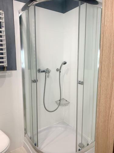 Apartamento Willa Zdr�j