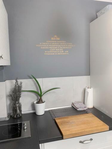 Apartamento Willa Zdr�j
