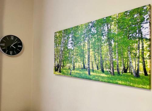 Apartamenty W Brzozowym Gaju