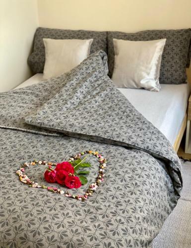 Apartamenty W Brzozowym Gaju
