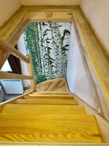 Apartamenty W Brzozowym Gaju