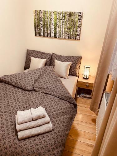 Apartamenty W Brzozowym Gaju