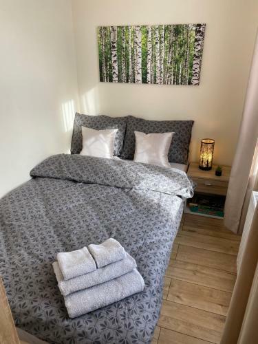 Apartamenty W Brzozowym Gaju