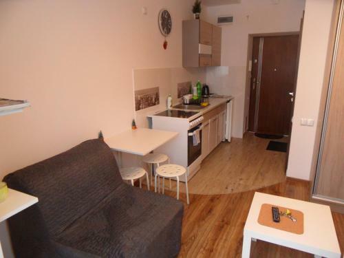 Apartament Kraszewskiego