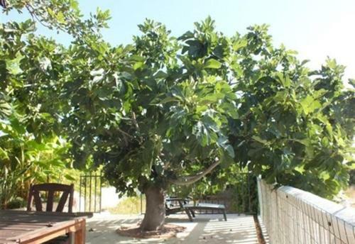 2 Cosy Holidayhomes Near Valencia