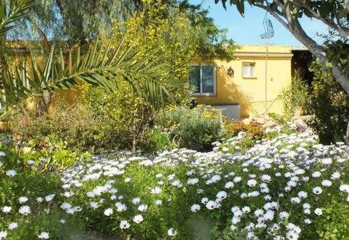 2 Cosy Holidayhomes Near Valencia