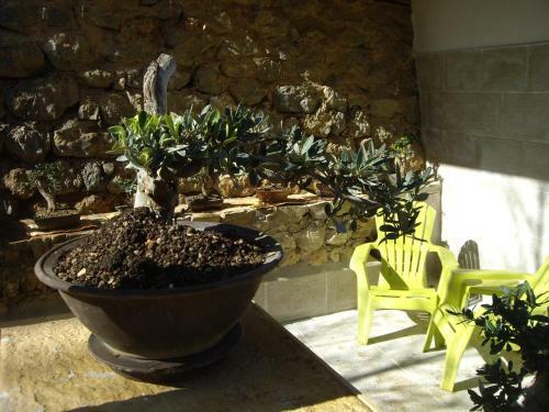 Apartamento Los Bons�is